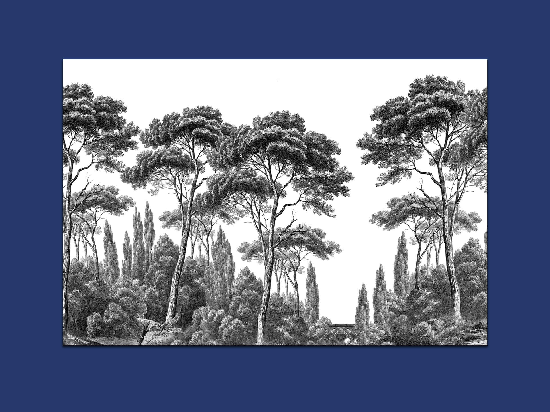 decoration_appartement_ancien_ sejour_arcade_couleurs_papierpeint_lausanne_emmanuelle_diebold.jpg